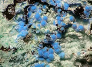 Carbonatecyanotrichite-92160.jpg
