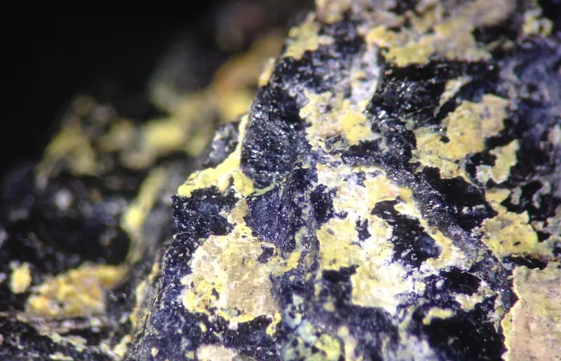 Carlosbarbosaite specimen.jpg