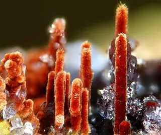 Carminite-170210.jpg