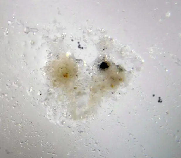 Carobbiite.png