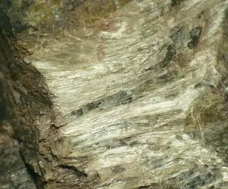 Carpholite-436102.jpg