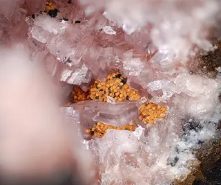 Caryopilite-431679.jpg