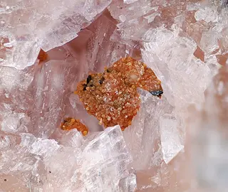Caryopilite-431680.jpg
