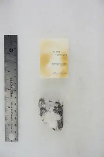 Cattierite (47859654362).jpg