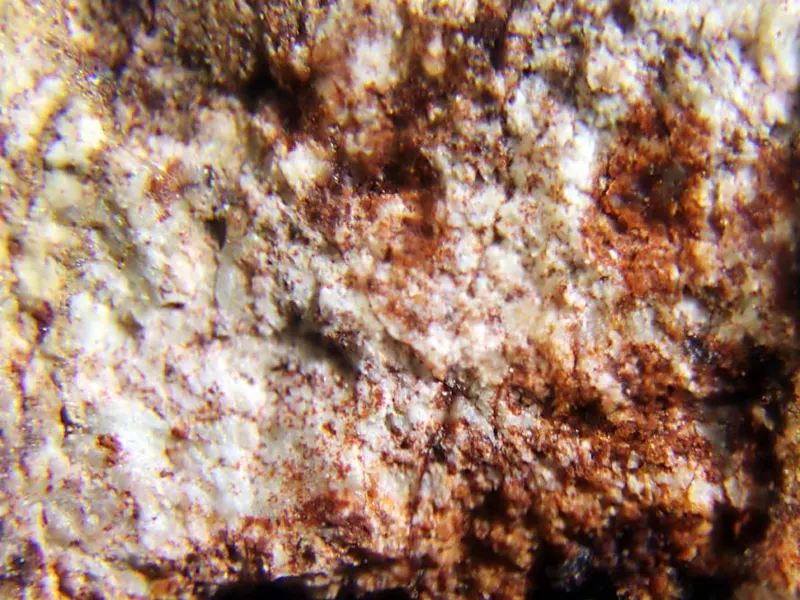 Caysichite-(Y).jpg