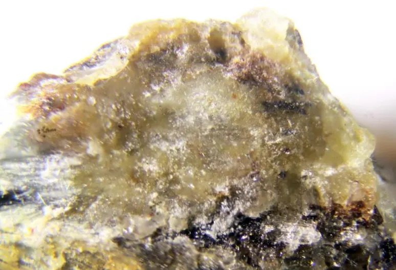 Cebollite.jpg