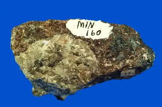 Cleiophane (var. sphalerite) (GeoDIL number - 1096).jpg