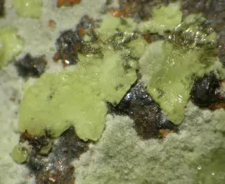 Grimselite, Cejkaite-494285.jpg