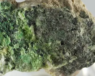 Aktashite-509294.jpg