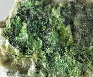 Aktashite-509295.jpg