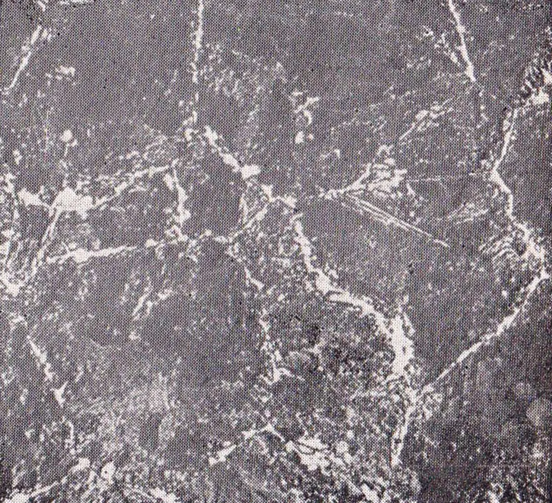 Micrograph of 1.3 % C hypereutectoid steel.png