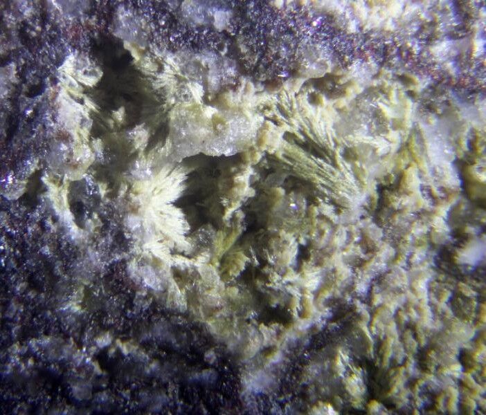Cerchiaraite-(Fe)