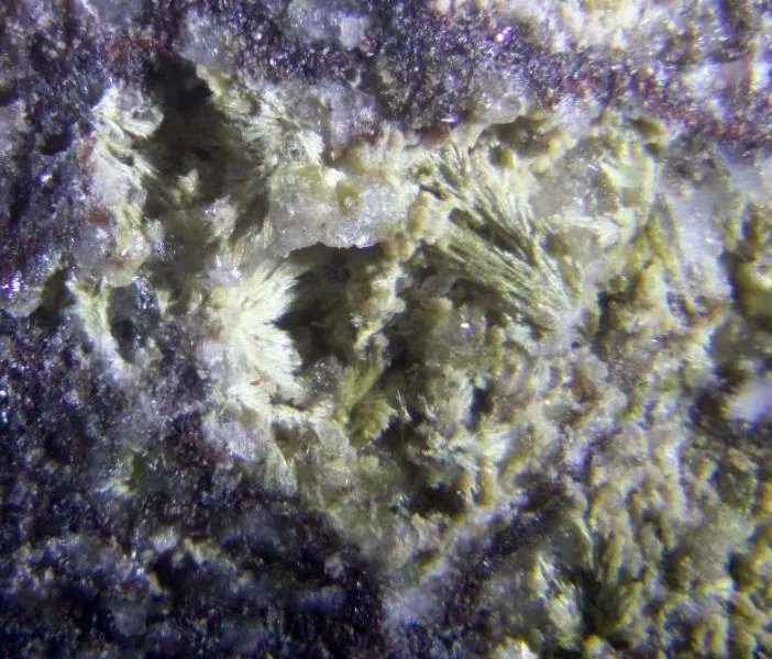Cerchiaraite-(Fe).jpg
