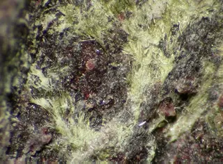 Cerchiaraite-93257.jpg