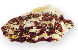 Garnet Group Andradite variety Colophonite in wollastonite Iron calcium silicate Willsboro, Essex County, New York.jpg