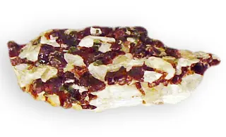 Garnet Group Andradite variety Colophonite in wollastonite Iron calcium silicate Willsboro, Essex County, New York 2756.jpg