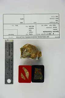 Coloradoite (39960485993).jpg