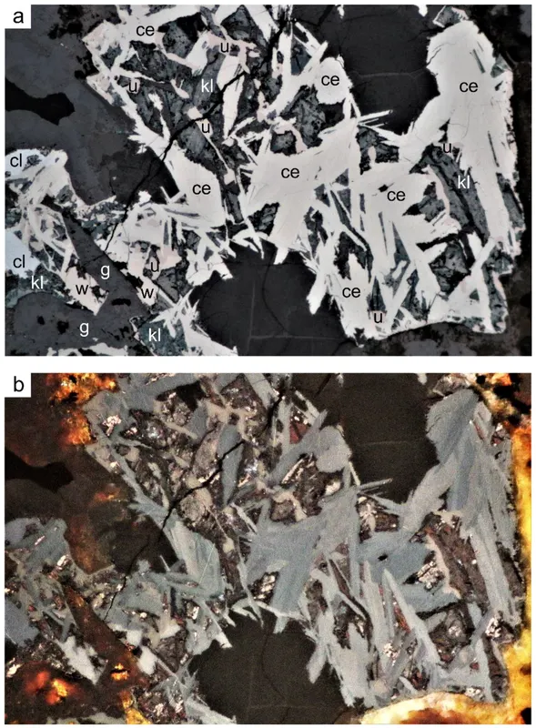 Cerromojonite associated with other minerals.png