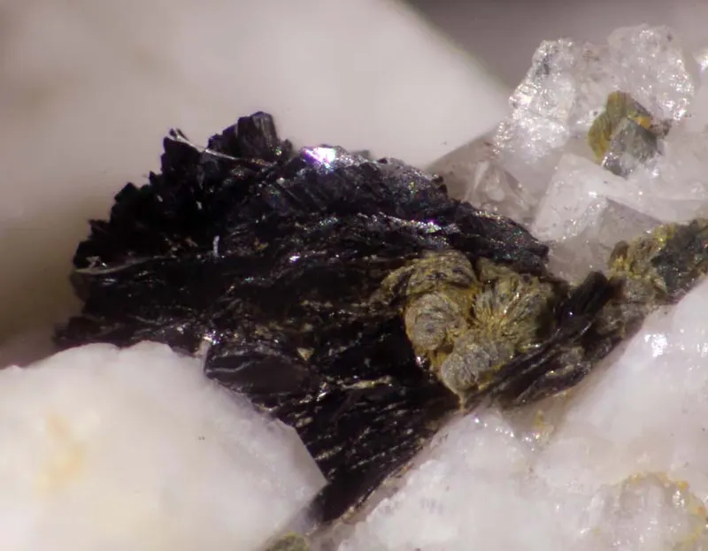 Cervandonite-(Ce).jpg