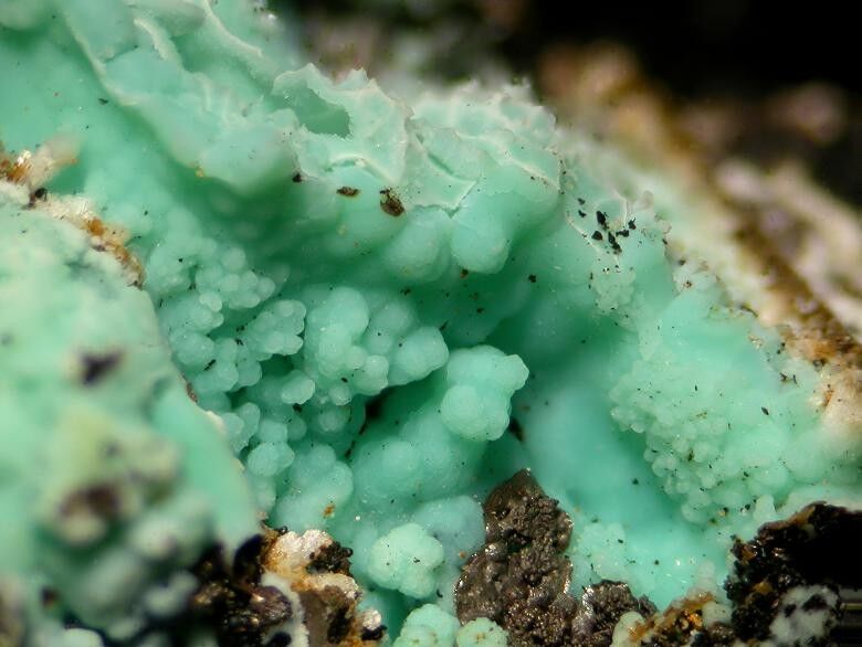 Copper-bearing Halloysite