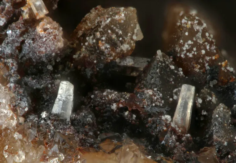 Cesàrolite-820437.jpg