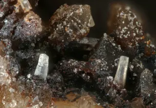 Cesàrolite-820437.jpg