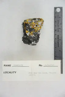 Cesarolite with Calcite (47975515128).jpg