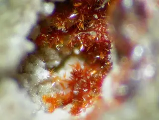 Cetineite-108703.jpg