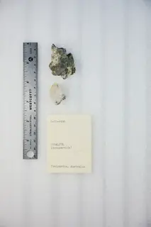 Cosalite (49024755468).jpg