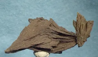 Alabandite-207508.jpg