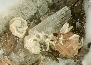 Clinoptilolite-K, Chabazite-Ca, Eudialyte-169184.jpg