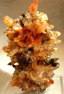 Creedite-20492.jpg