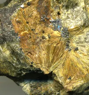 Cummingtonite amphibole (Paleozoic; West Chesterfield, Massachusetts, USA) (31701719934).jpg