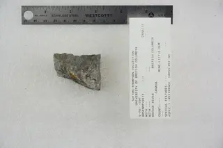 Arsenopyrite (Danaite) (47122253124).jpg
