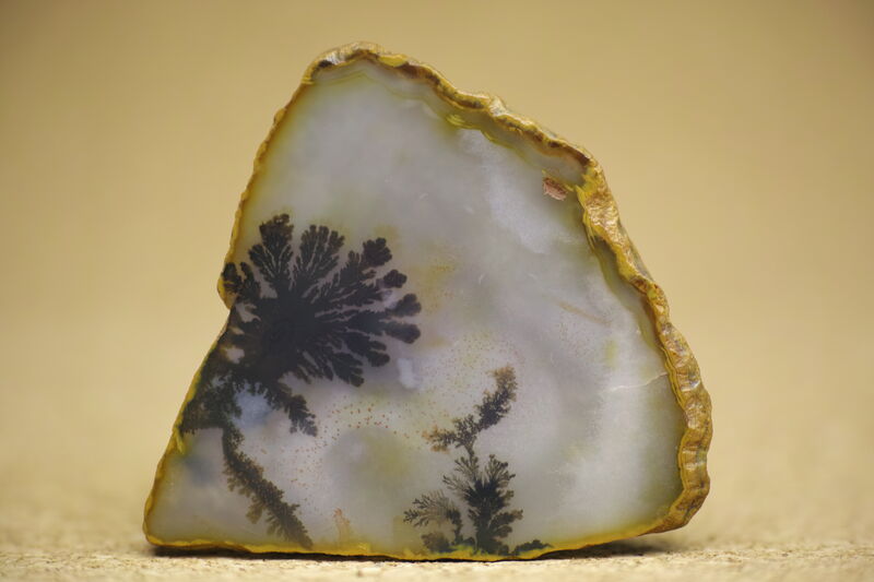 Dendritic Agate