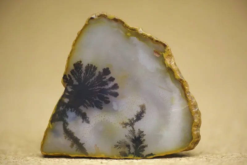 Dendritic agate with three dendrite occurances.jpg