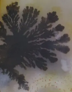 Dendritic agate (cropped).jpg
