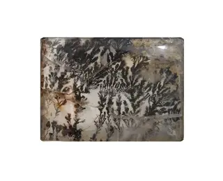 Brazilian dendritic agate.jpg