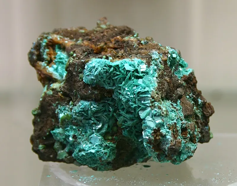 Chalkophyllit - Mineralogisches Museum Bonn (7295).jpg