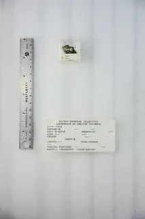 Dundasite (49055727761).jpg
