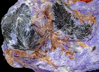 Charoite, aegirine, tinaksite 2.jpg
