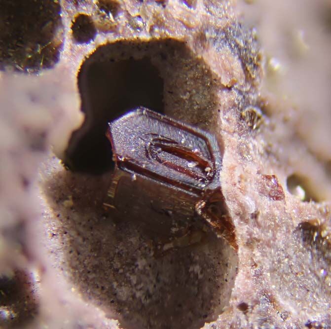 Chayesite