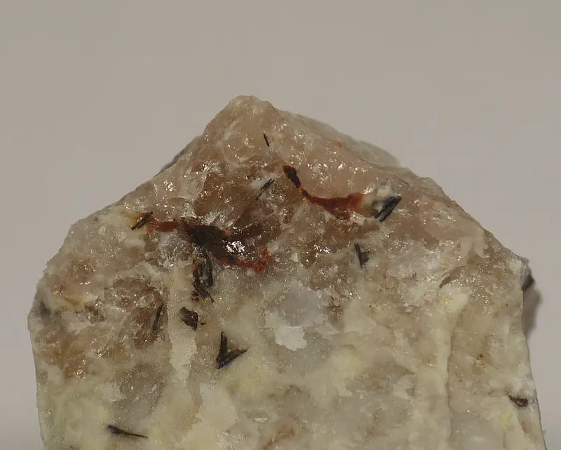 Chegemite-533271.jpg