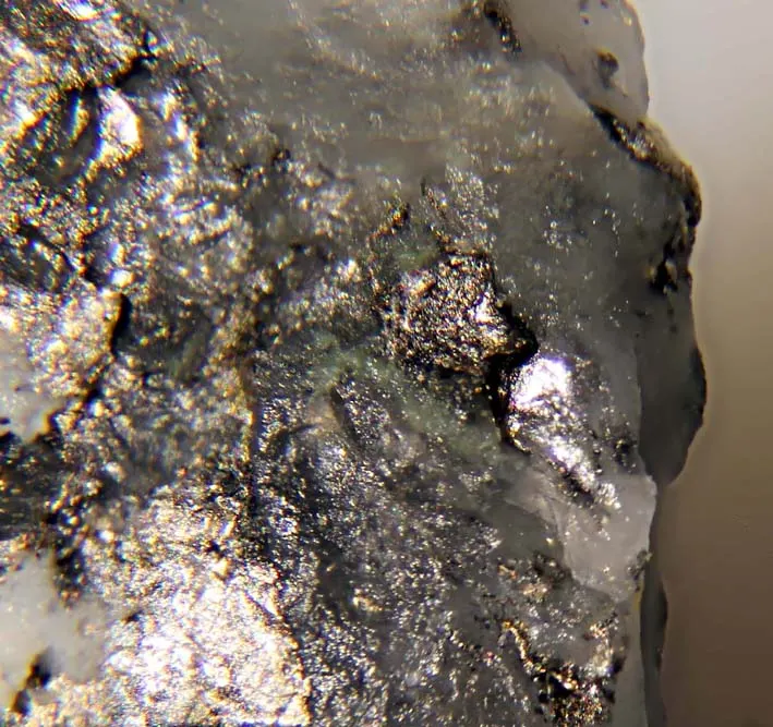 Chekhovichite and melonite.jpg