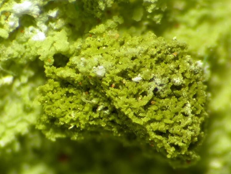 Chenevixite