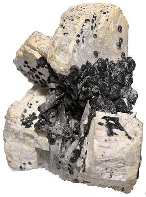 Alamosite