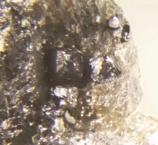 Cherepanovite & Ferronickelplatinum.jpg