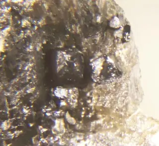 Cherepanovite & Ferronickelplatinum.jpg