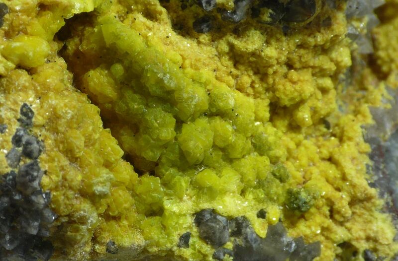 Chernikovite