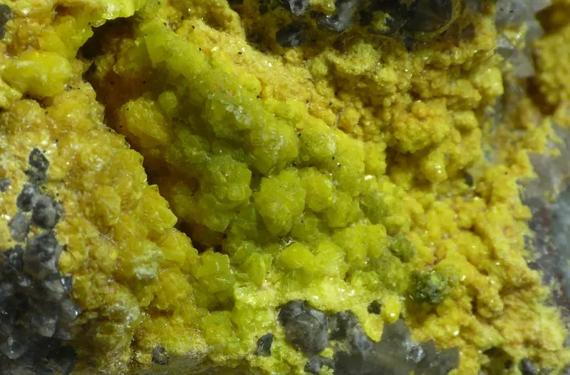 Chernikovite 1.jpg